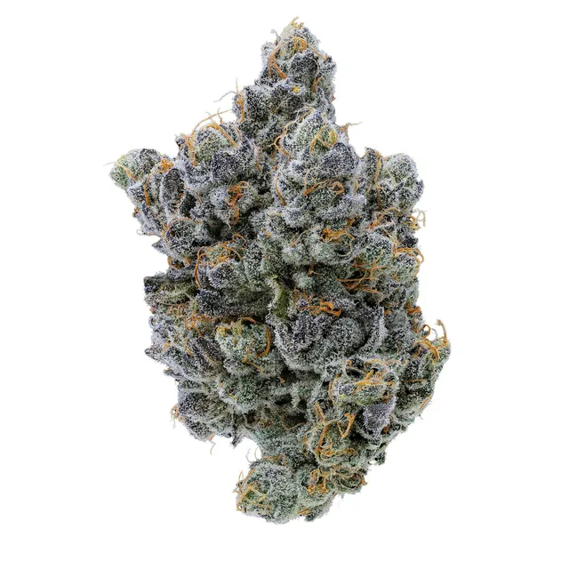 Fig Farms | Moonana Wreck | Big Buds