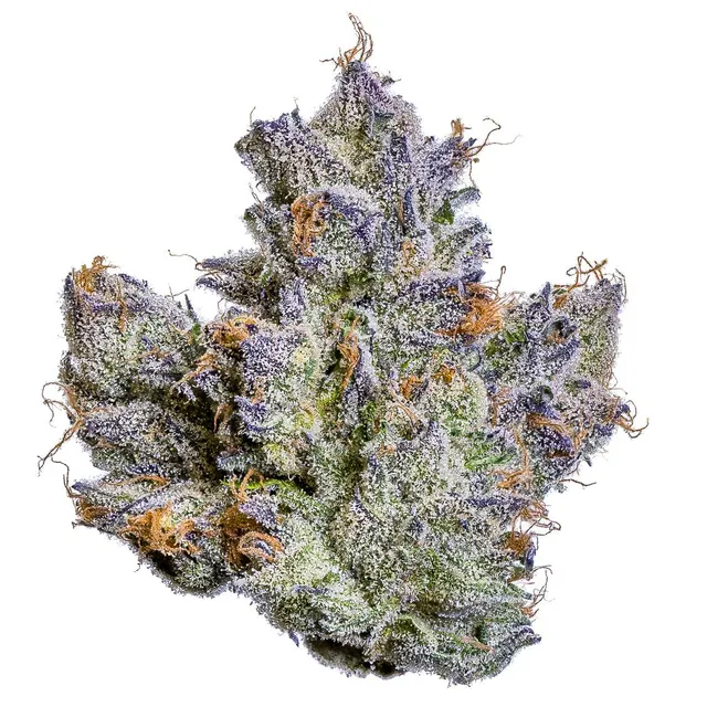 Fig Farms | Whole Fruits | Big Buds
