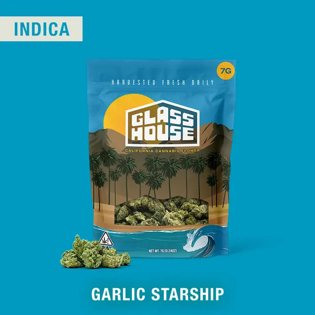 GARLIC STARSHIP - QUARTER