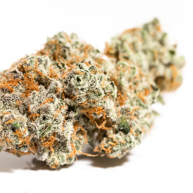 GLP | Grape Pie *NOT REDEEMABLE*