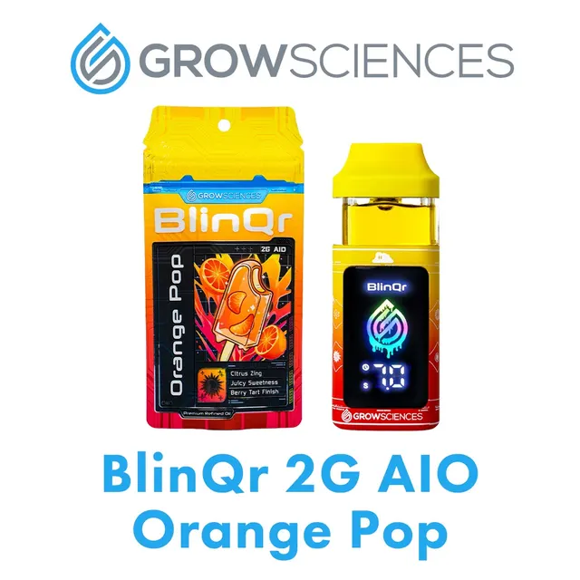 BLINQR ORANGE POP AIO 2G