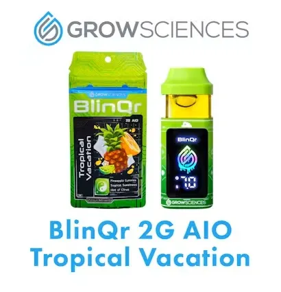 BLINQR TROPICAL VACATION AIO 2G