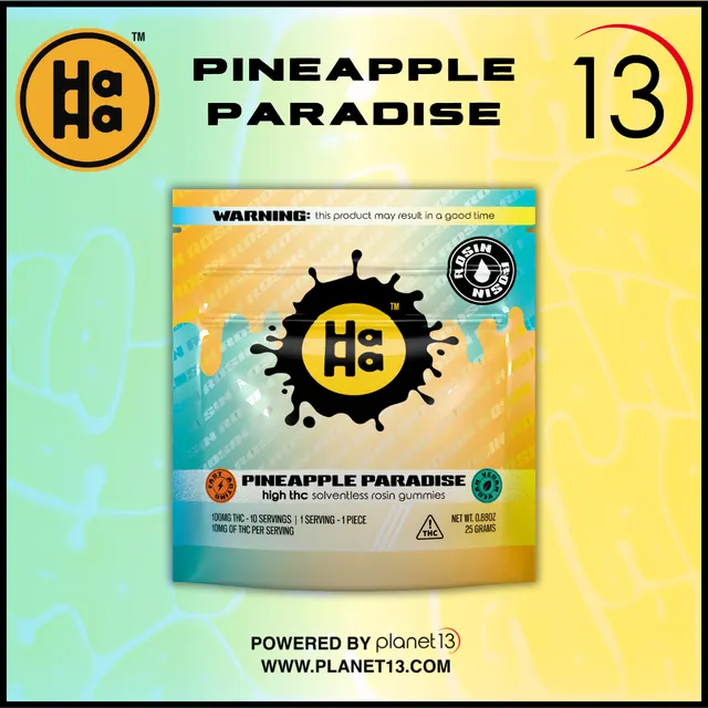 HaHa Pineapple Paradise Rosin 100mg Gummies