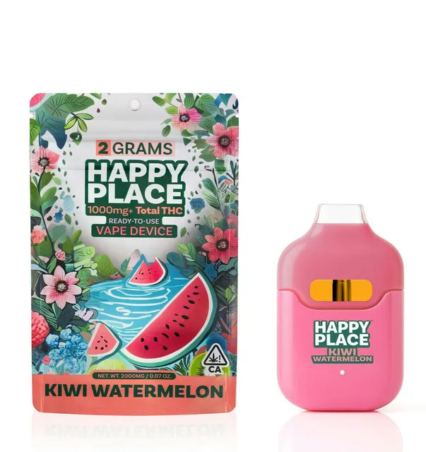 2 Gram ALL-IN-ONE - Kiwi Watermelon **NEW DEVICE**