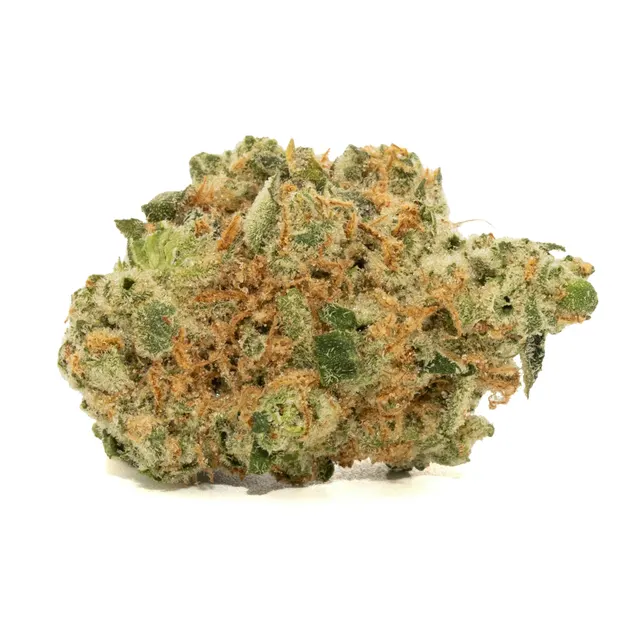 JENNY KUSH POPCORN [14G]