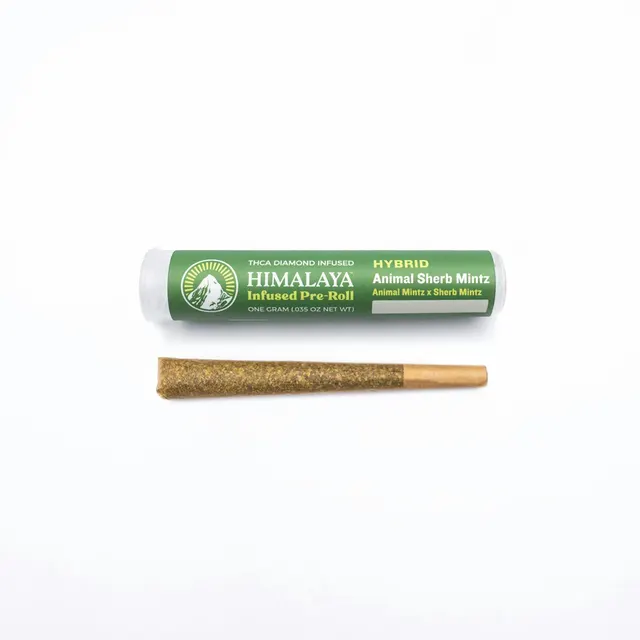 Animal Sherb Mintz - Infused Pre-Roll - 1G