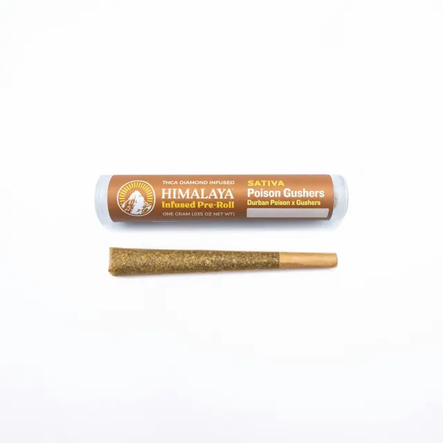 Poison Gushers - Infused Pre-Roll - 1G
