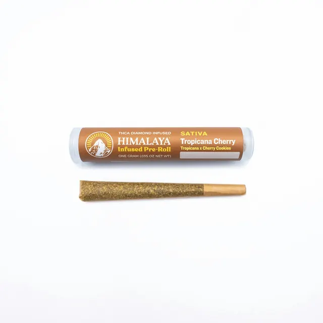 Tropicana Cherry - Infused Pre-Roll - 1G