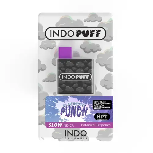 Blueberry Punch Disposable (1g)