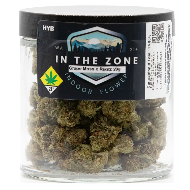In the Zone: Wonka Bars (H)