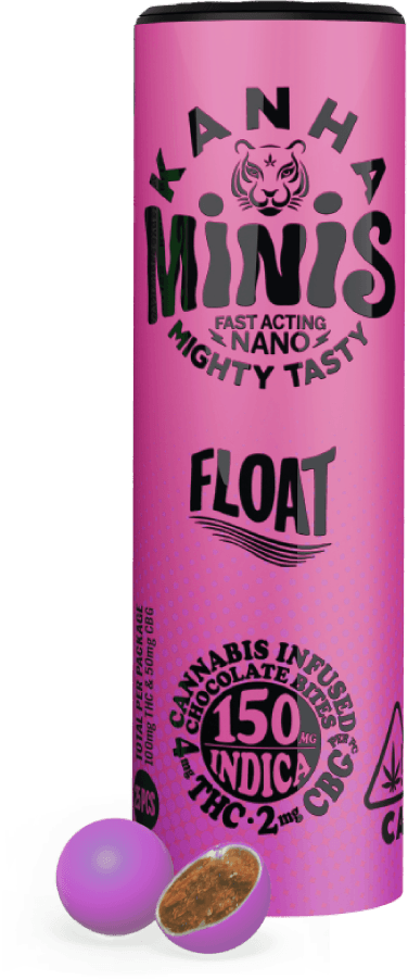 2:1 Float Minis Chocolate Bites 25-pack
