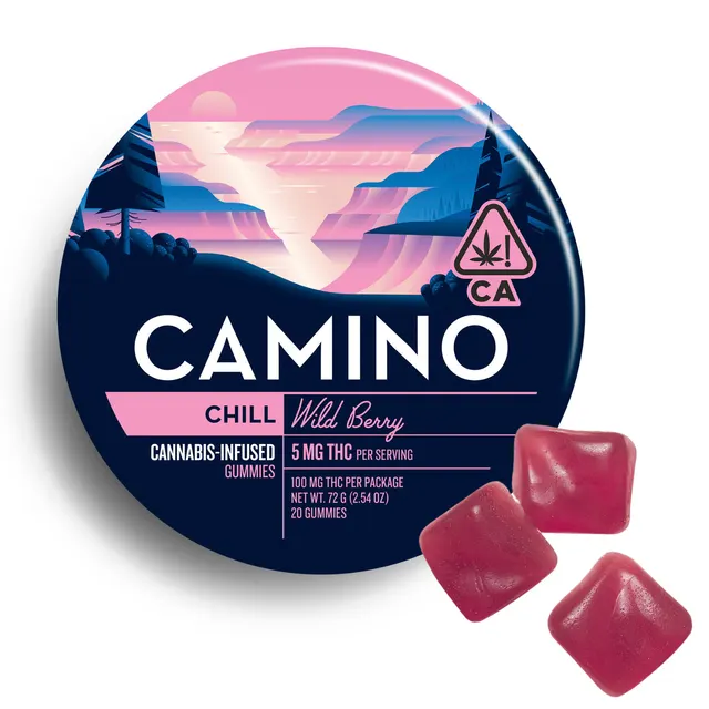 Kiva Camino Gummies - Wild Berry 100mg