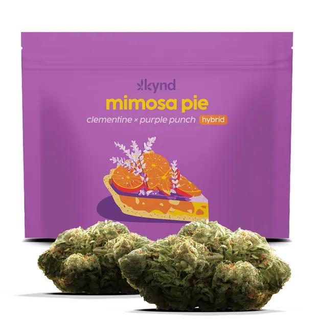 Kynd Mimosa Pie (H) Flower 3.5g