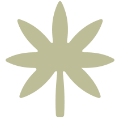 Bridge City Collective SE Portland Weed Dispensary logo