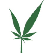 Jayne Recreational and Medical Marijuana Dispensary - Portland logo
