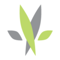 Kind Meds logo