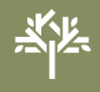 The Novel Tree | Bellevue Cannabis Dispensary logo