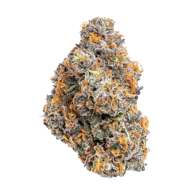 Noire Night Premium Flower
