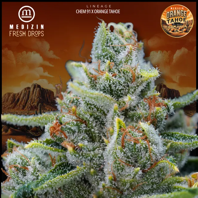Medizin Orange Tahoe 1g Preroll