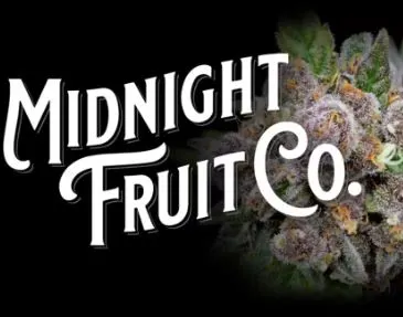 Midnight Fruit Co. | Hash Burger