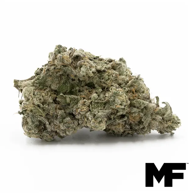 F1 Durban Mints Flower