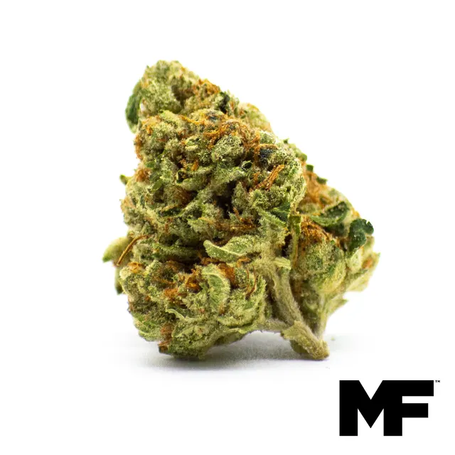 Motor Breath Flower