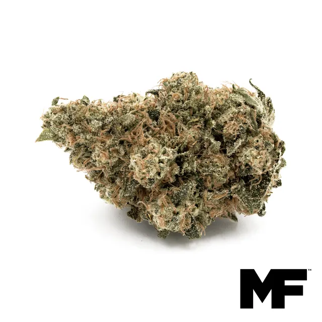 Princess Shiva Skunk Flower