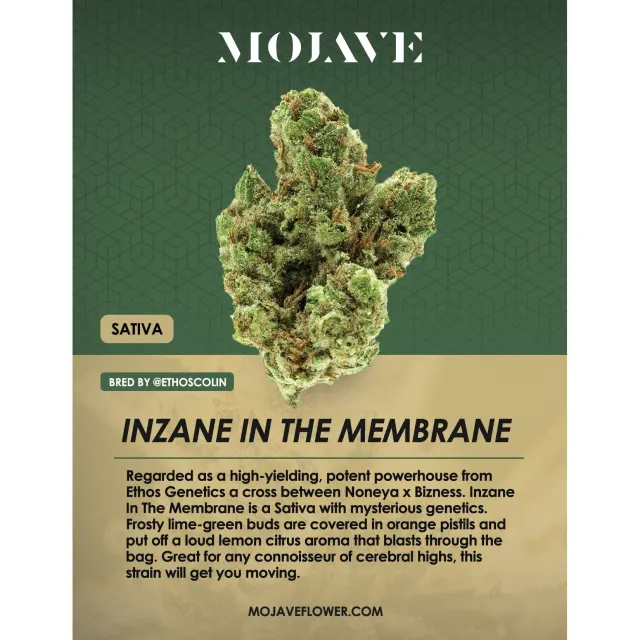 Inzane In The Membrane