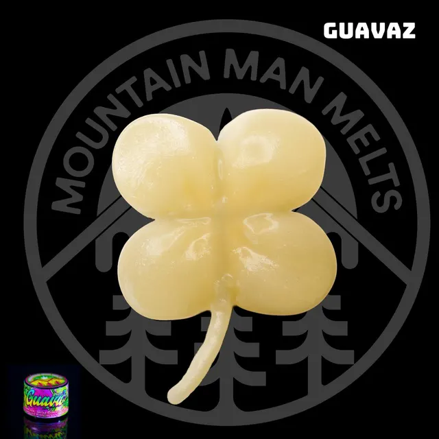 Guavaz - Live Rosin