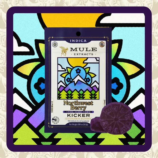 Kicker | NW Berry 1:1:1 CBN Gummies | 2pk