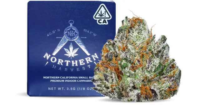 BUBBLEGUM DIESEL