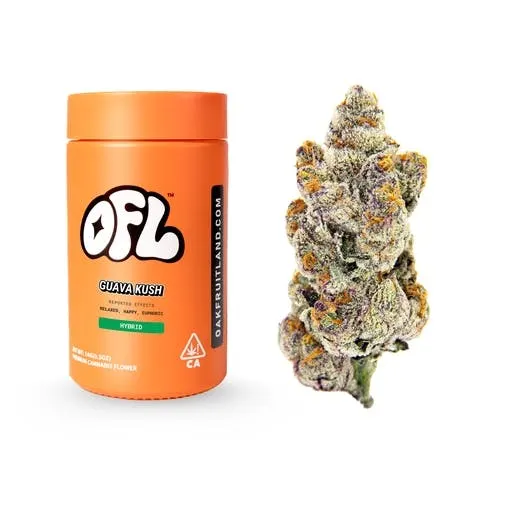 Guava Kush Premium Flower Jar 14g - Big Buds