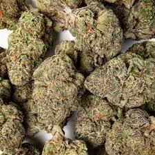 Pacific Stone - Flower: Blue Z