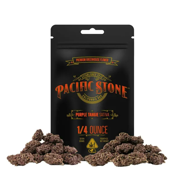 Pacific Stone | Purple Tangie | Big Buds | 7g