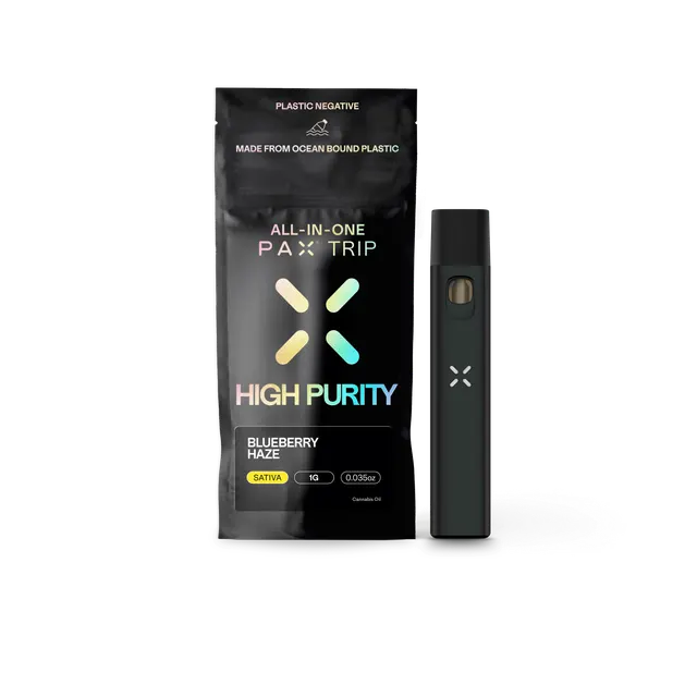 Blueberry Haze | High Purity Disposable | 1g