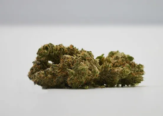 Pepperlane | Flower 1g - Blueberry French Toast (H)