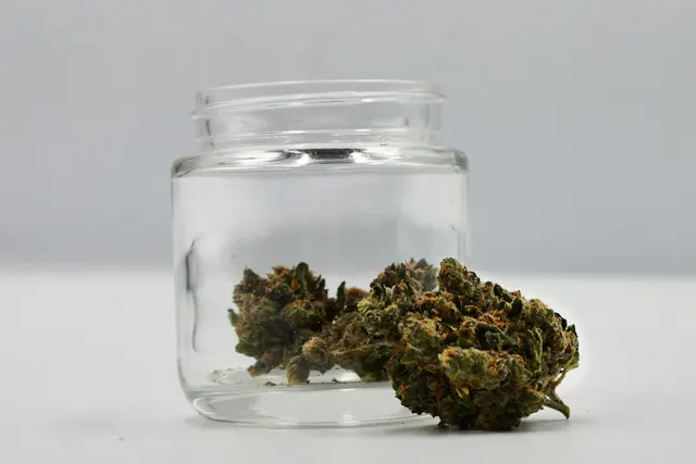 Pepperlane | Flower 1g - Candyman (S)