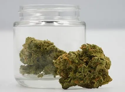 Pepperlane | Flower 1g - Sinmint (S) x Jet Fuel (S) #1