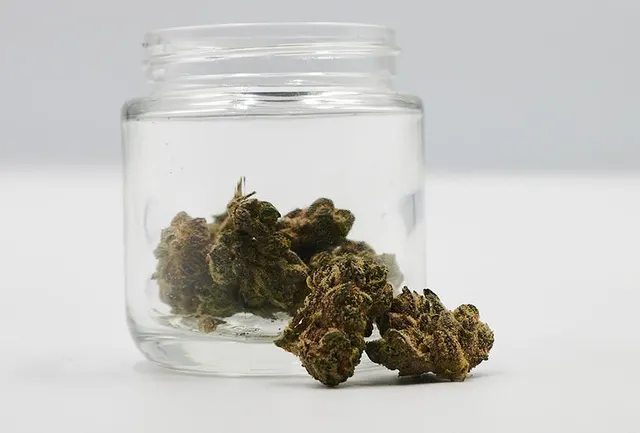 Pepperlane | Flower 3.5g - Sherb Crasher (S)