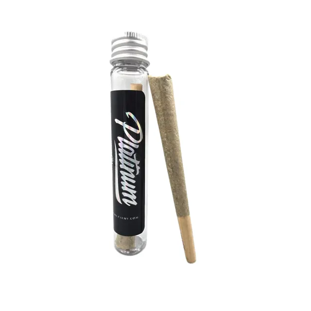 CSF Platinum Cowboy Cookies Preroll