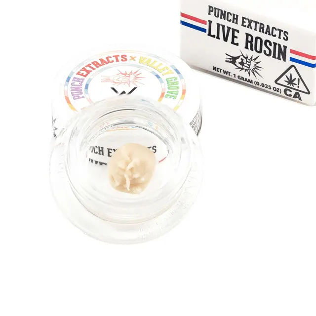 RG5 X TMZ Tier 1 Live Rosin Cold Cure Badder (1g)