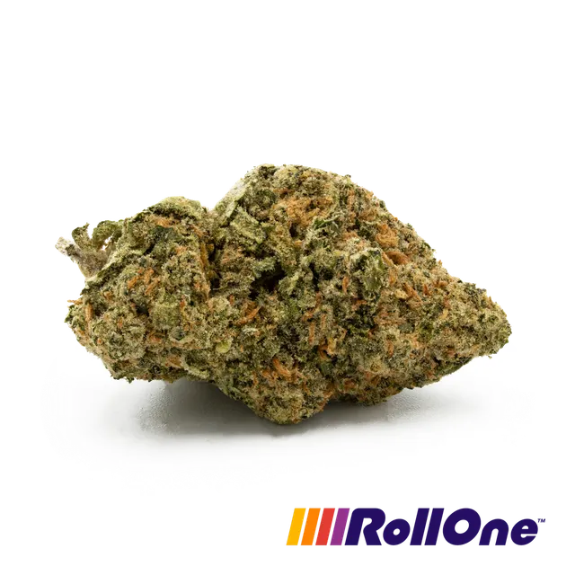 C99 Flower