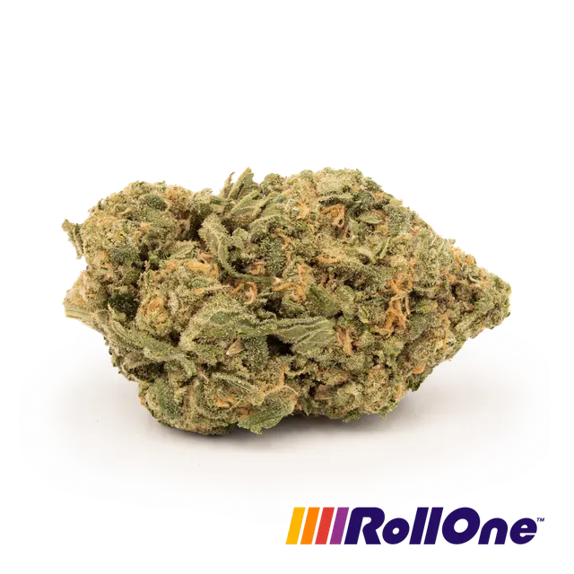 Fire Alien Master #44 Flower