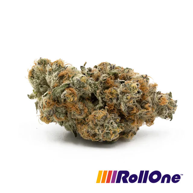 GMO Belts Flower