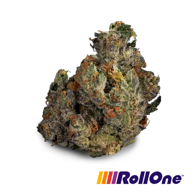 Ice Man Flower