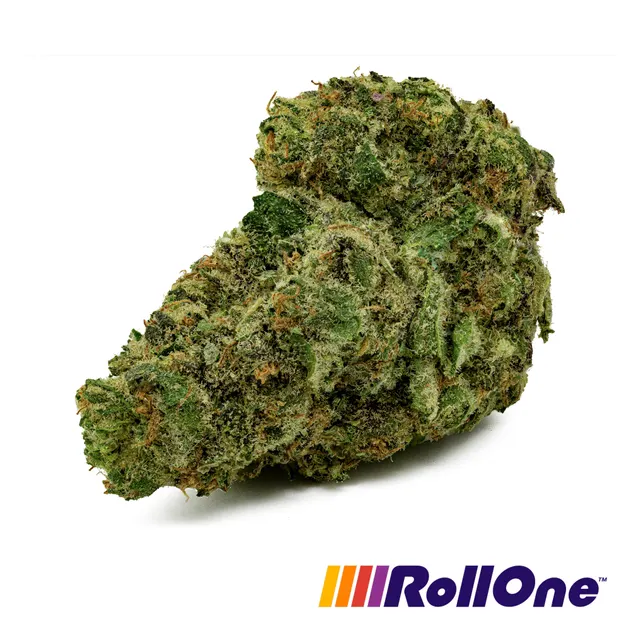 Papaya Melonz Flower