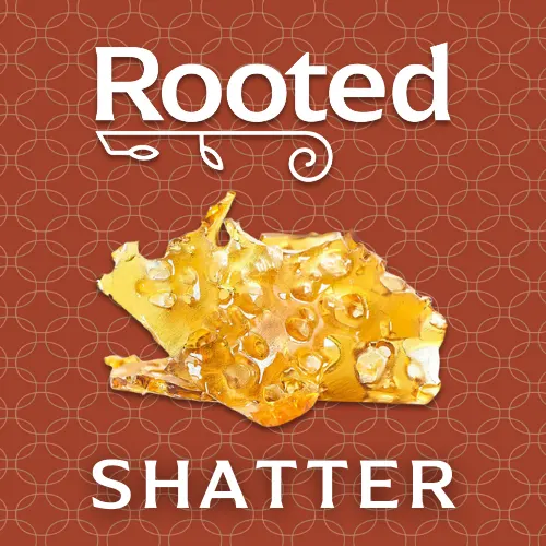 Sherbet Honey Shatter | 1g