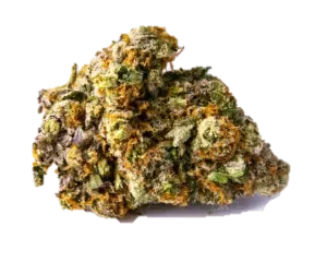 Bananaconda