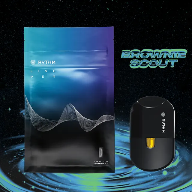Brownie Scout [2g]