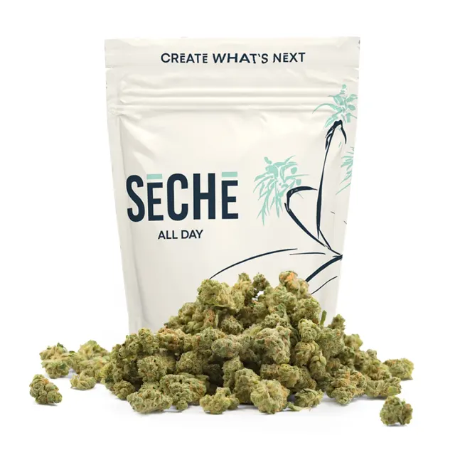 SeCHe logo